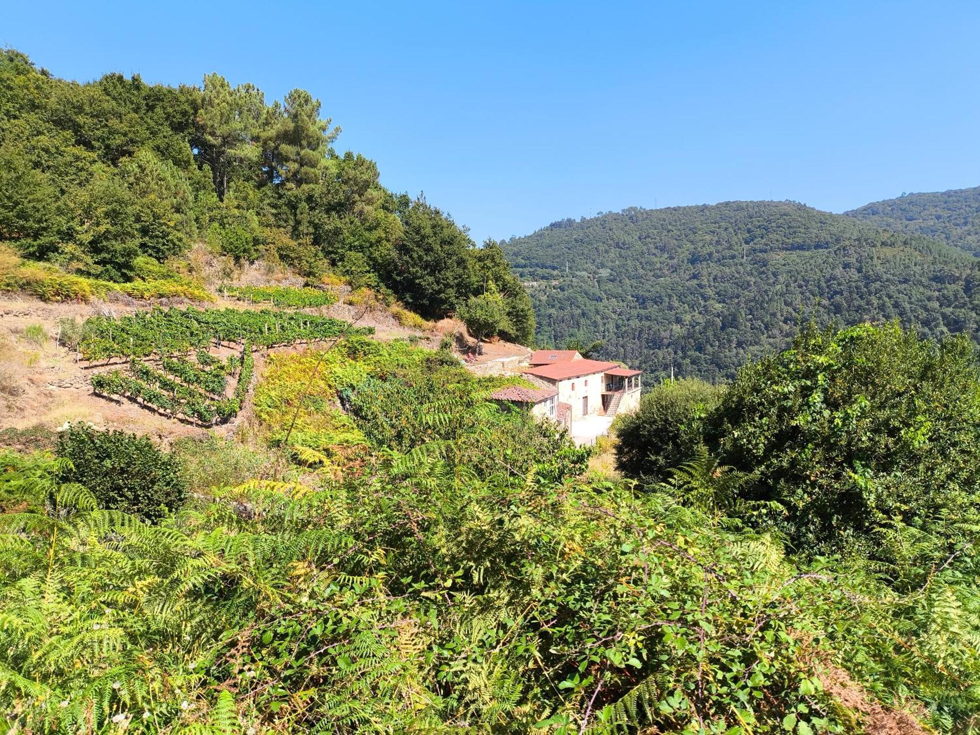 Willa Xiravai-Ribeira Sacra Peares Zewnętrze zdjęcie